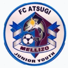 スクリーンショット 2024-11-26 12.50.23